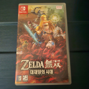 닌텐도 스위치 게임 젤다 무쌍 대재앙의 시대
