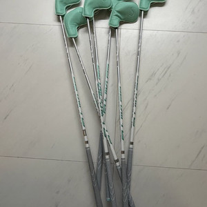 테일러메이드 스텔스글로리 아이언 7 세트 + 캘러웨이 캐디백