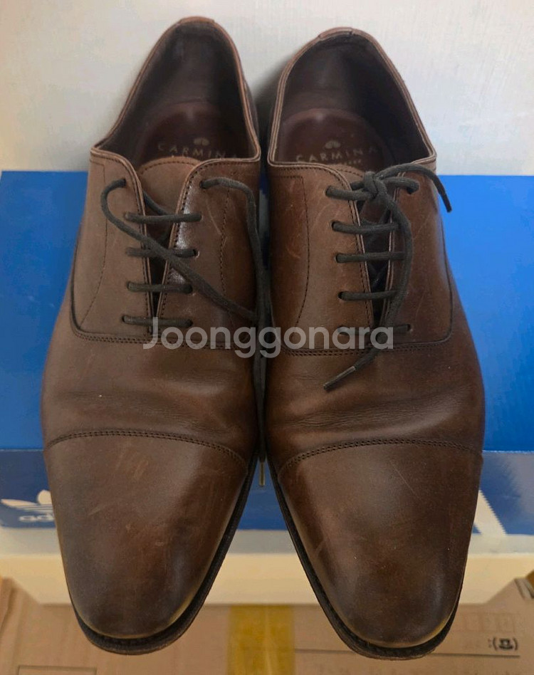 까르미나 10085 마룬 8--1