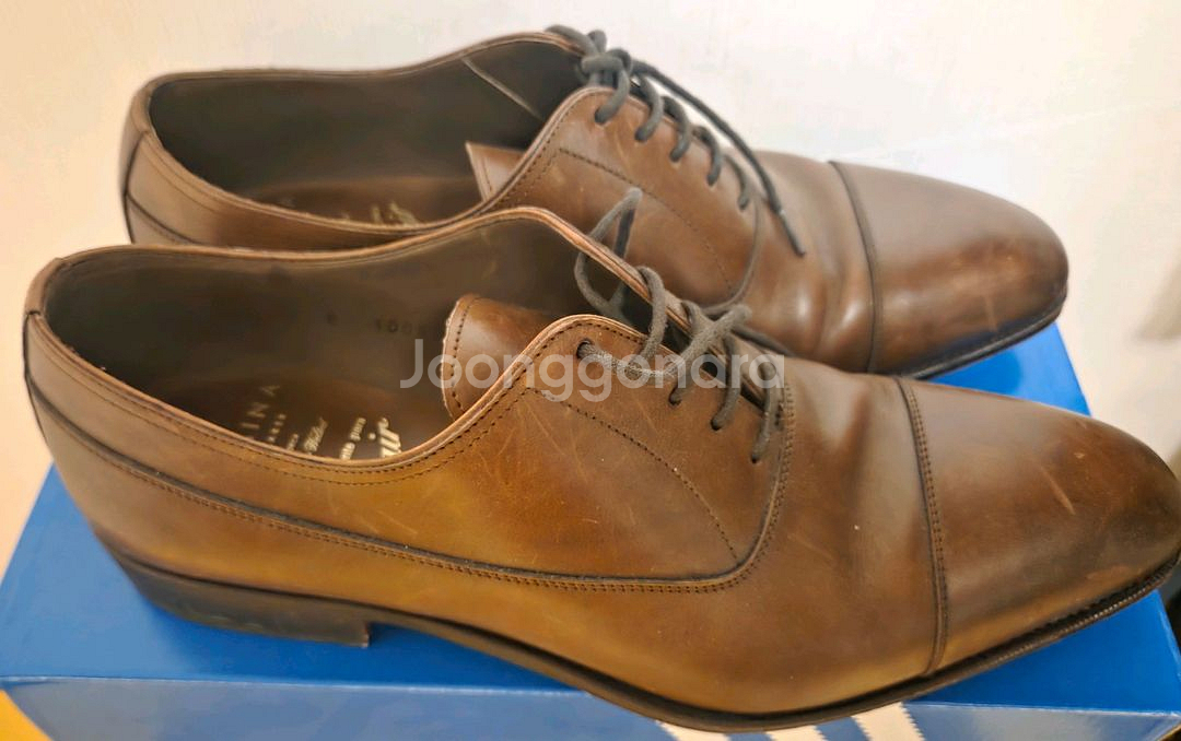 까르미나 10085 마룬 8--2