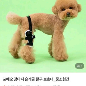 강아지 슬개골 탈구 보호대