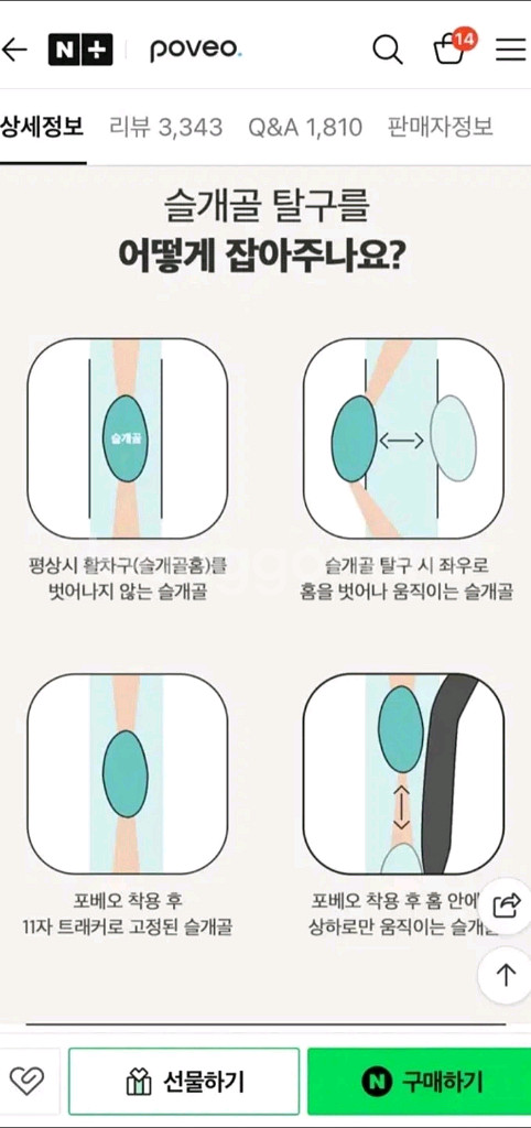 강아지 슬개골 탈구 보호대--1