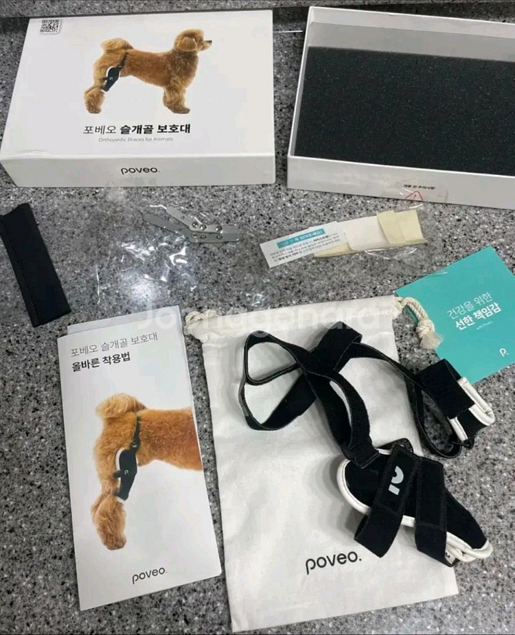강아지 슬개골 탈구 보호대--5