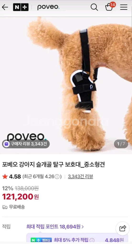 강아지 슬개골 탈구 보호대--3