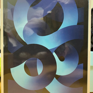 애플 아이패드 에어 5세대 셀룰러 64기가 블루