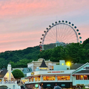 에버랜드 종일권