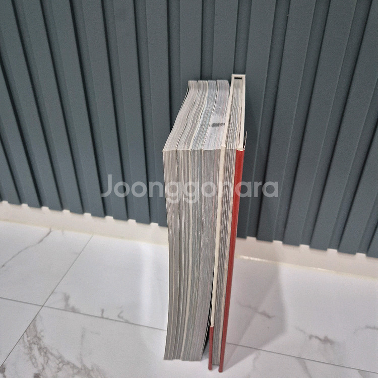 DC코믹스 그래픽노블 배트맨 만화책--3