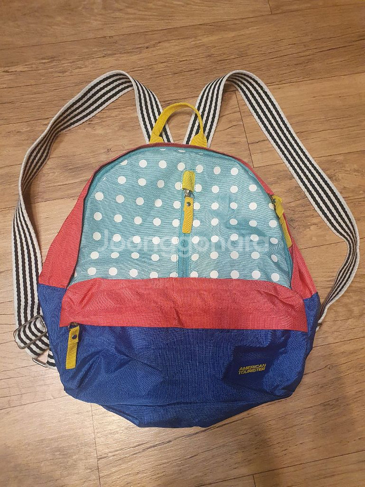 아메리칸투어리스터 배낭--0