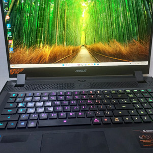 17.3인치 어로스 게이밍 노트북 RTX3080