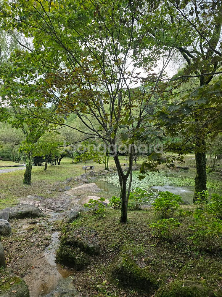 후지필름 미러리스 카메라 + 16-50mm 렌즈 세트--9