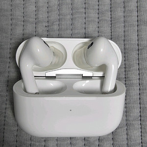 애플 에어팟 프로 2세대 C타입