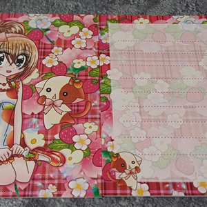 라라의스타일기 딸기 양면 포카 엽서 6공 y2k