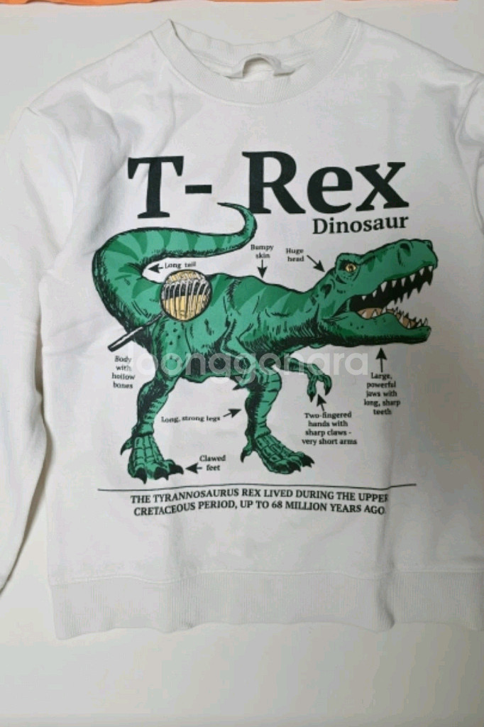 H&M 코코리따 남아 130 공룡 긴팔 티셔츠 맨투맨--1