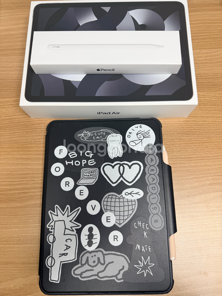 아이패드 air 5세대 256기가 wifi + 펜+ 케이스티파이--0
