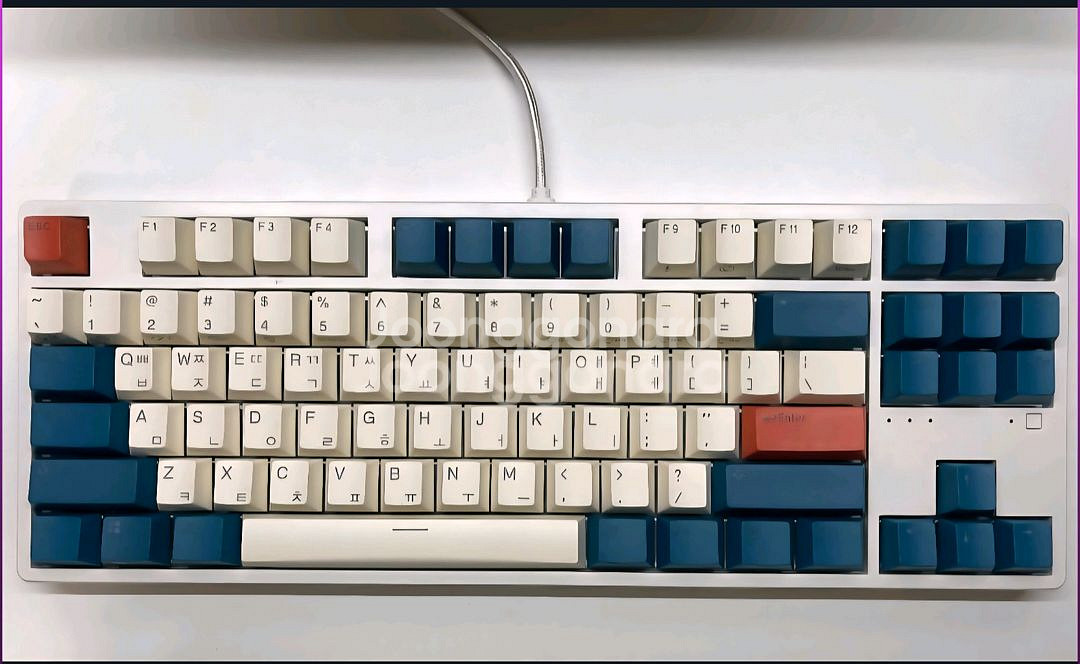 앱코 kn01c 30g 무접점 텐키리스 + 루프(덮개)--0