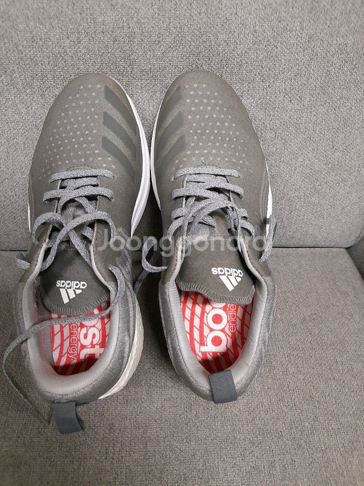 아디다스 아디파워 포지드 스파이크리스 골프화--2