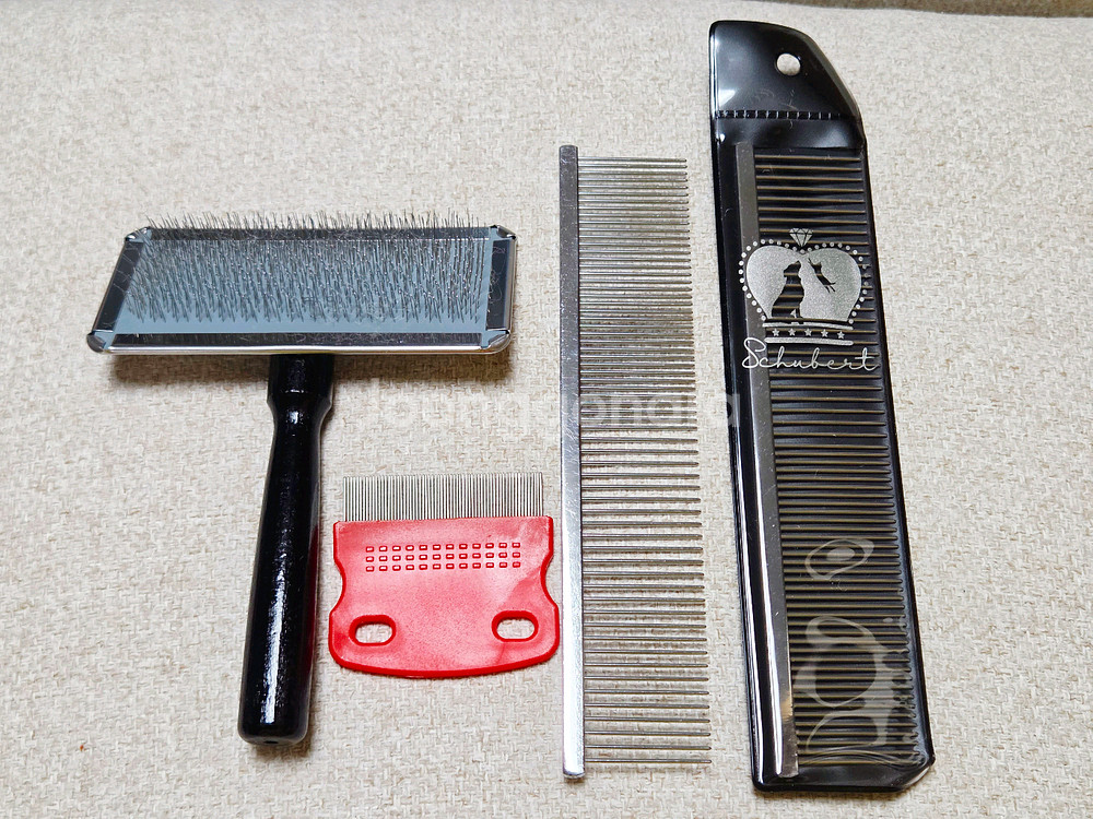 애견미용3급 도구 풀세트--5