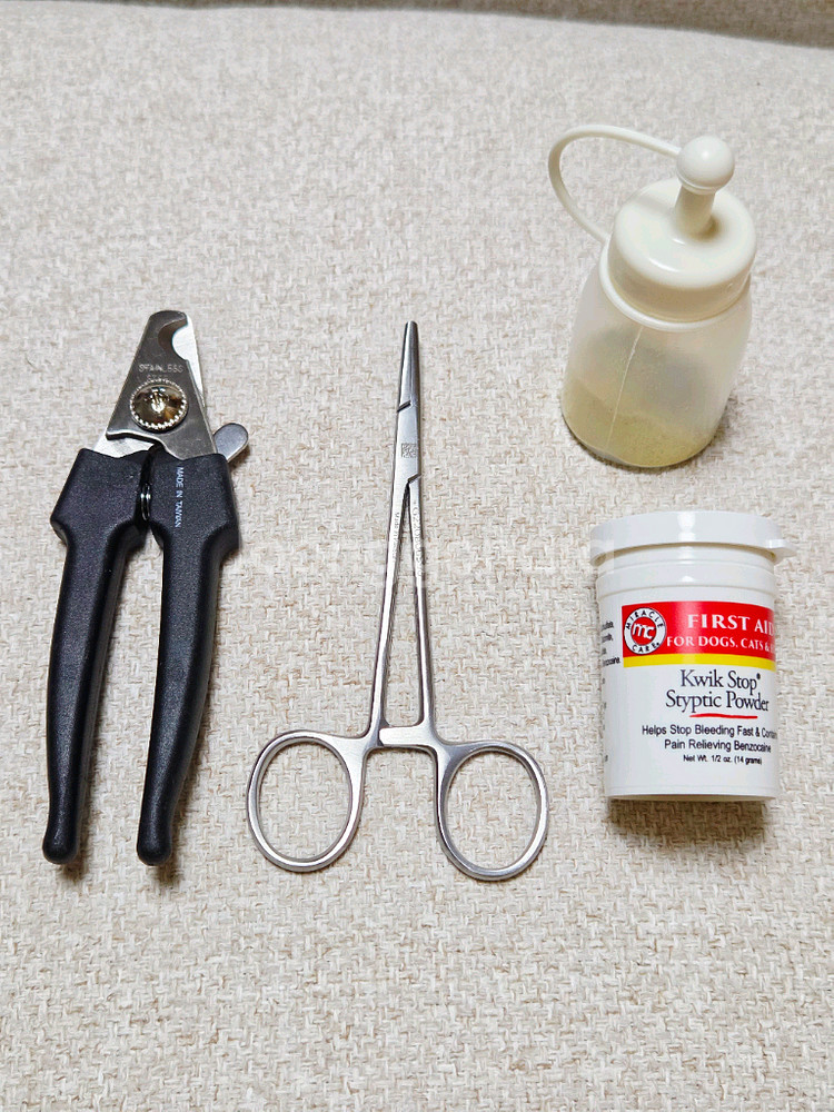 애견미용3급 도구 풀세트--4