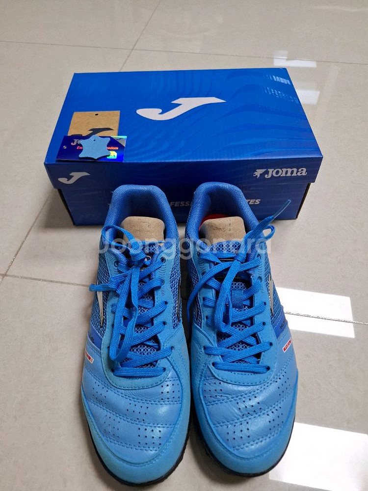 조마 문디알 255--0