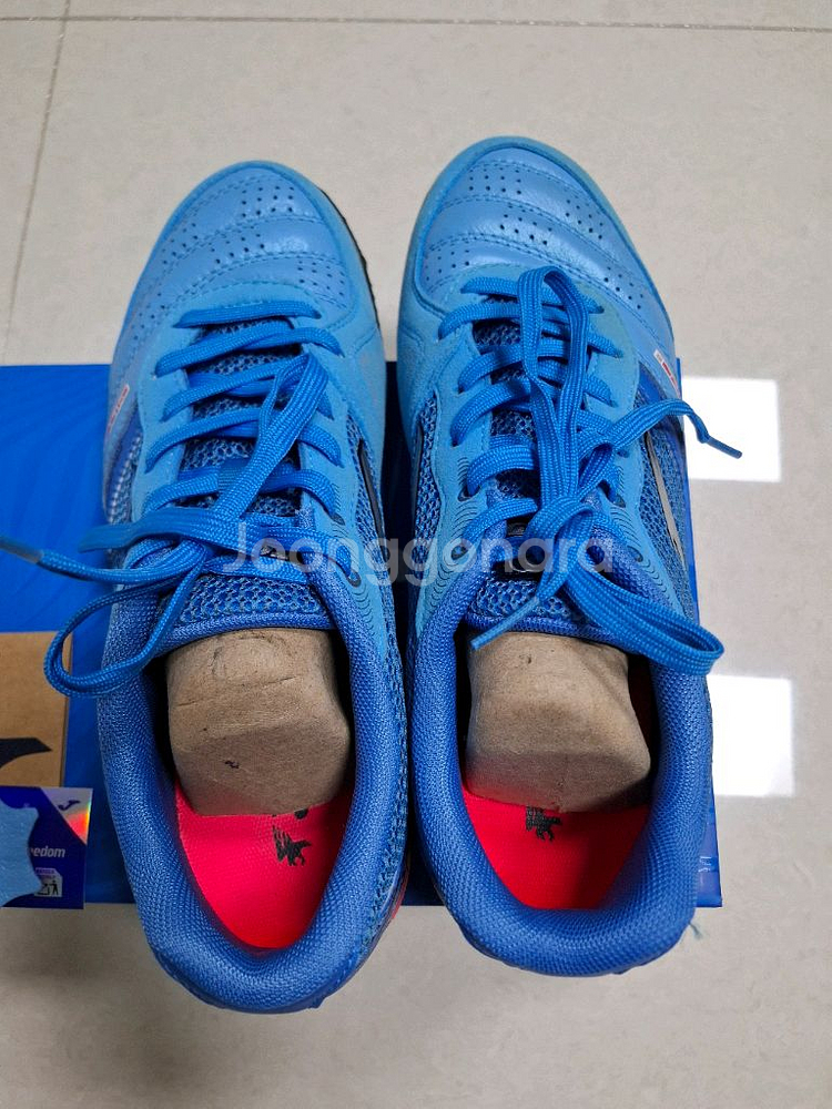 조마 문디알 255--4