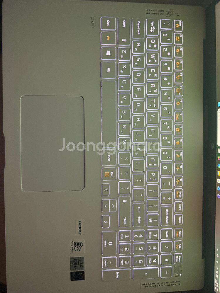 LG 그램 17인치 노트북 i7-10세대--9