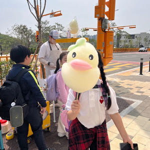 꽃피는 솜사탕 기계(가스식 기계) 판매합니다.