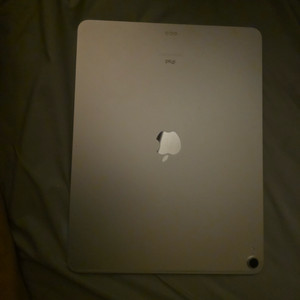 아이패드 프로 12.9 3세대 64g