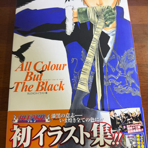 블리치 일러스트북 + 극장판 한정판 책 2권 ( 일서 )