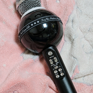 블루투스 LED 마이크 WSTER 블랙