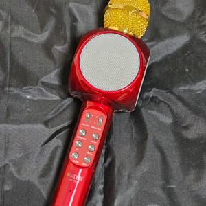 블루투스 LED 마이크 WSTER 골드 레드