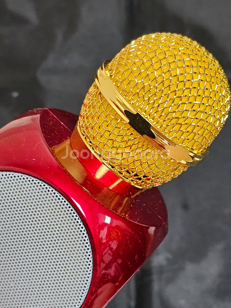 블루투스 LED 마이크 WSTER 골드 레드--2