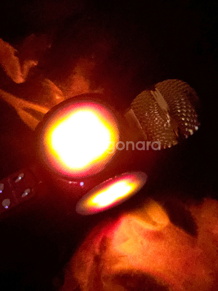 블루투스 LED 마이크 WSTER 골드 레드--6