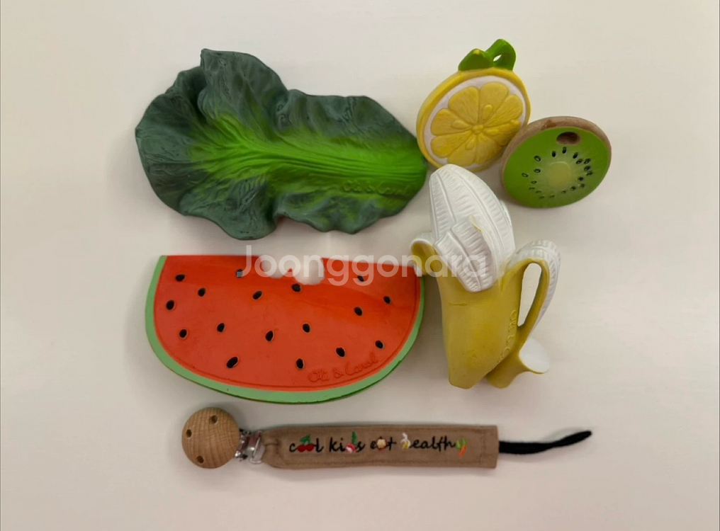 올리앤캐롤 과일 야채 치발기 클립 세트--0