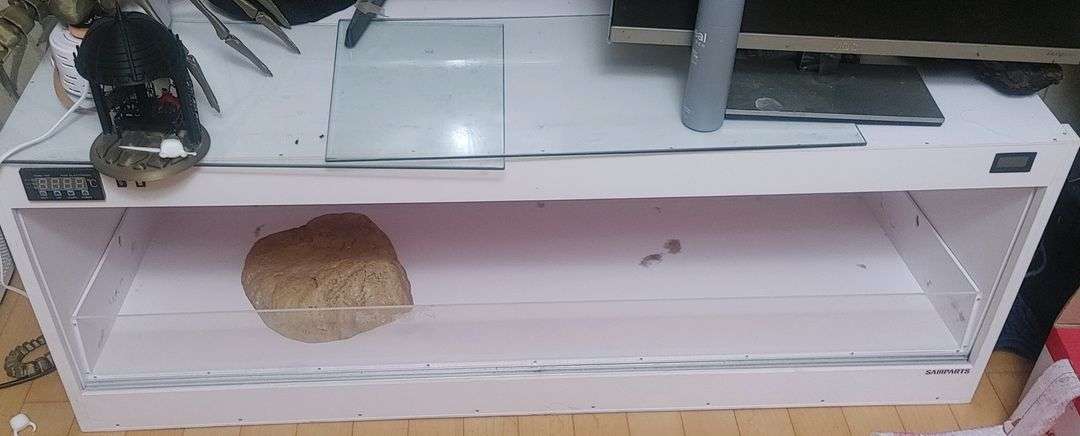 4자 사육장 2중구조 파충류 애완동물--1