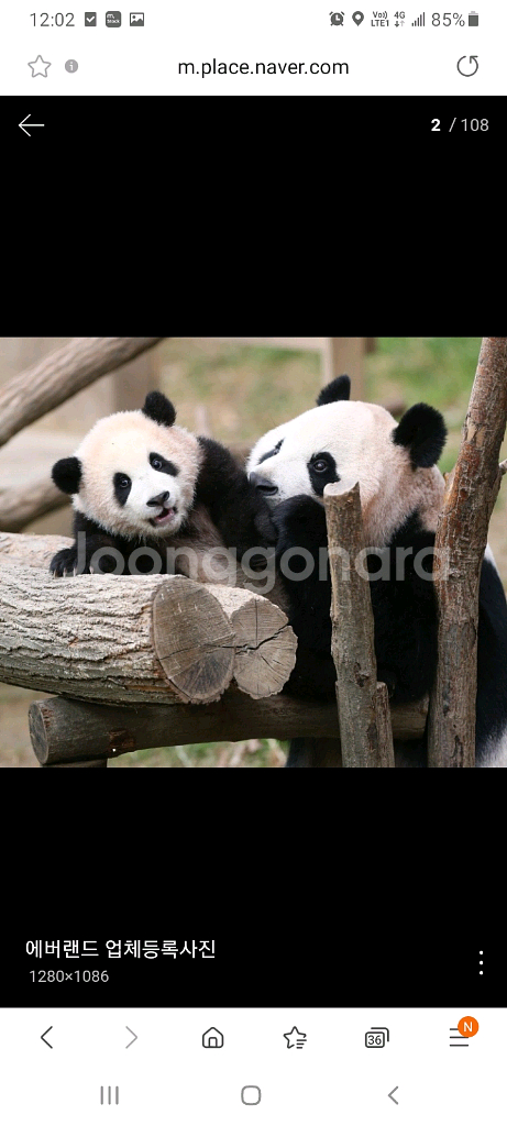 에버랜드 자유이용권 종일권(주말가능)--0