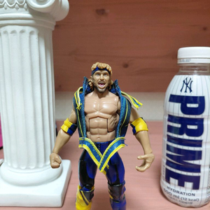 wwe 로건폴. 피규어