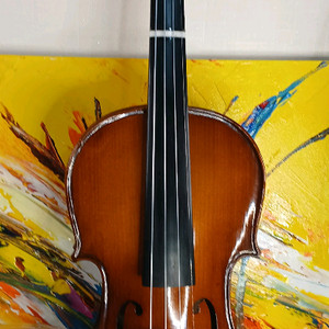 입문용 고퀄 바이올린 4/4 (택1