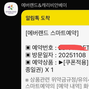 에버랜드 종일권 2장