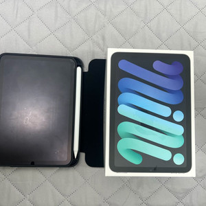 아이패드 미니6 64g