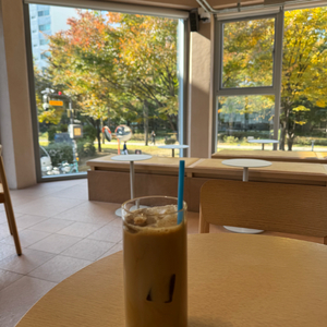 스타벅스 프리퀀시 일반 3장