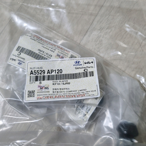 현대모비스 [20개 세트] 순정 정품 RAYS 휠너트 20개세트 A5529AP120