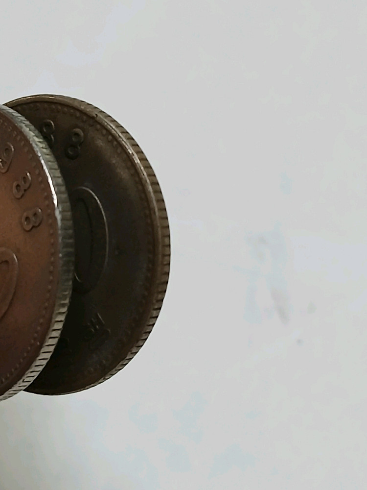 1988년 100원 동전 주화 두 개 이미지