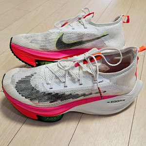 나이키 알파플라이 도쿄 로데이셔스