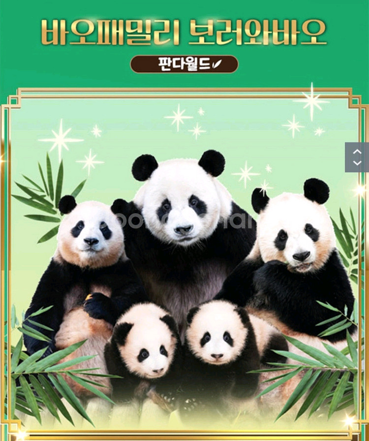 에버랜드 주말(11월22일,23일) 대인 종일입장권 25,000원--0