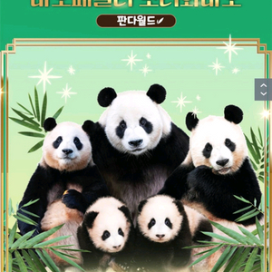 에버랜드 주말(11월22일,23일) 대인 종일입장권 25,000원