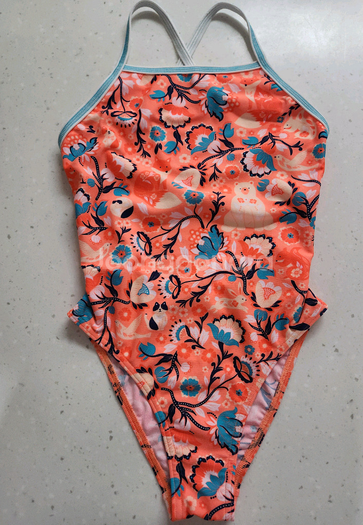 펑키타 페어리테일 g12--0