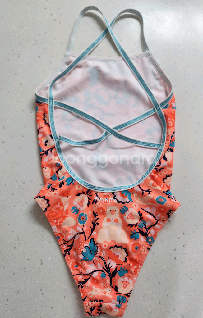 펑키타 페어리테일 g12--1