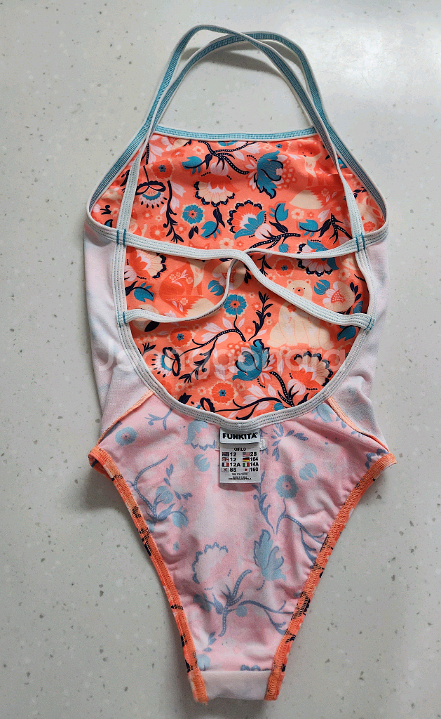 펑키타 페어리테일 g12--3