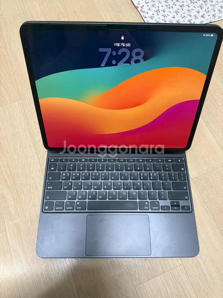 아이패드 프로 m4 13 256(wifi+셀룰러)+ 매직키보드+애플펜슬프로 팝니다--2