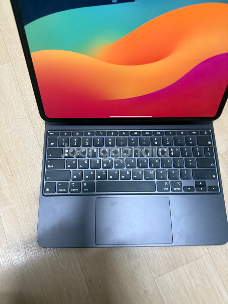 아이패드 프로 m4 13 256(wifi+셀룰러)+ 매직키보드+애플펜슬프로 팝니다--3